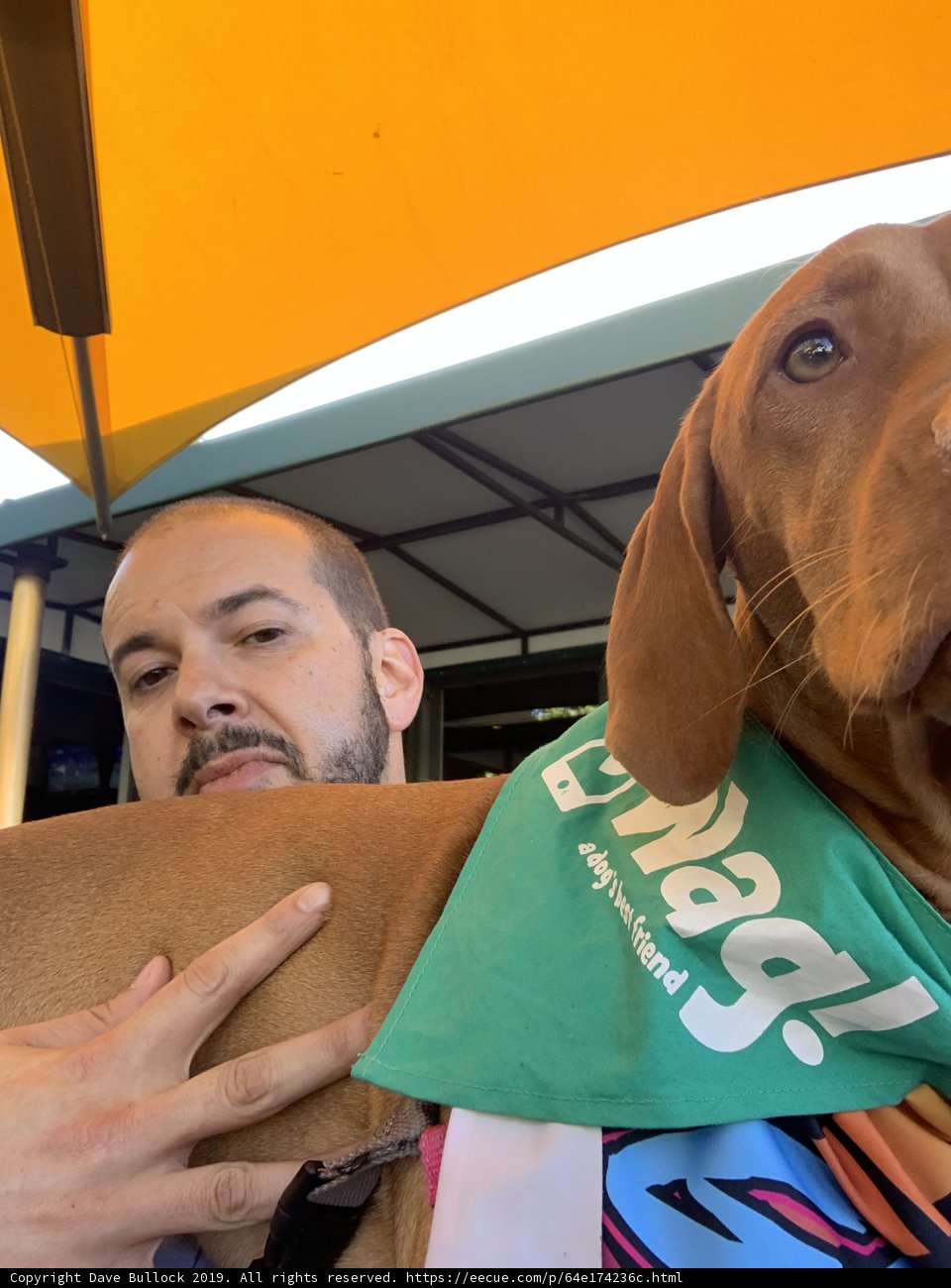 Man and his Canine Companion in San Francisco