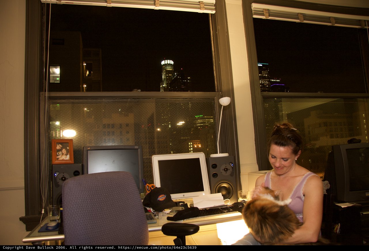 Late Night Work Session with Cat in City Office
