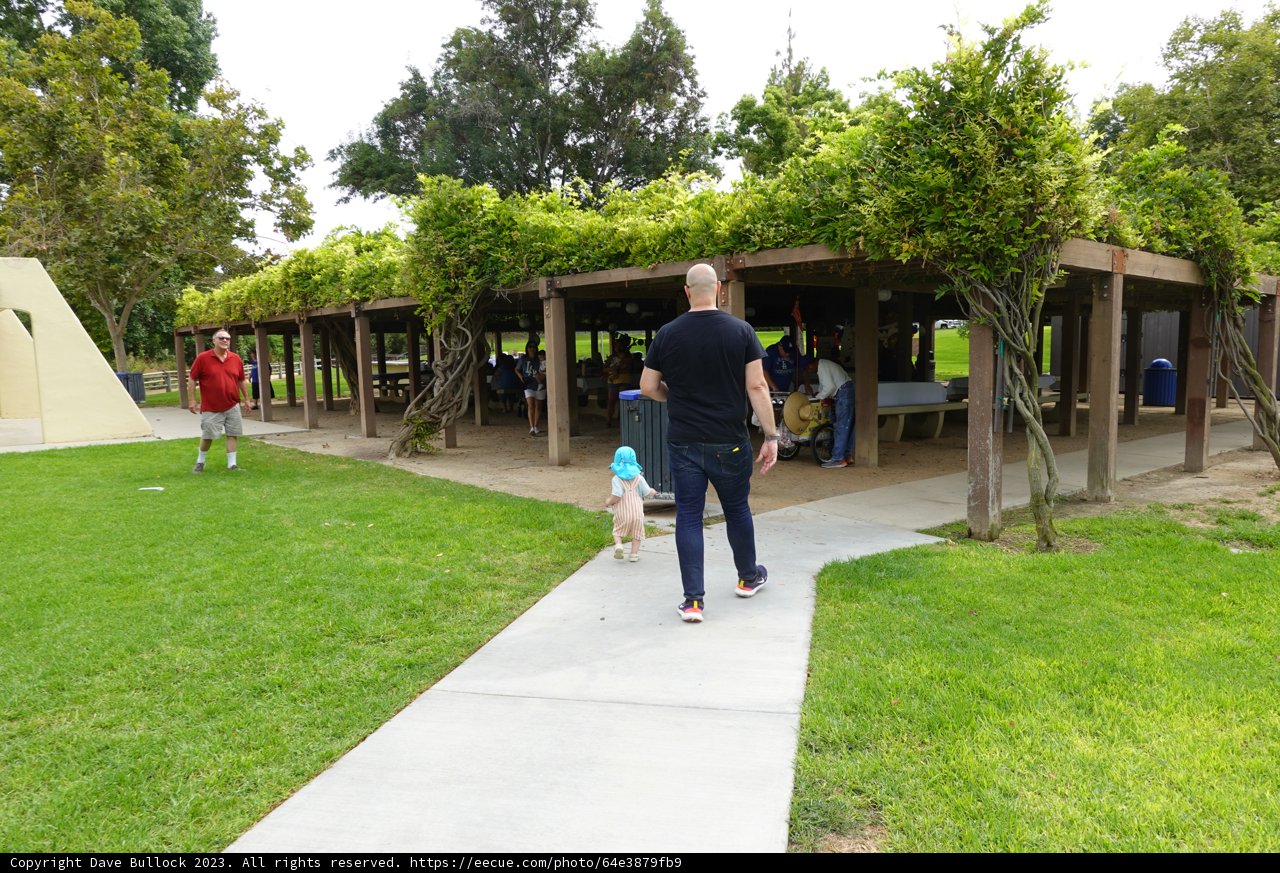 Strolling Through the Park: A Man and His Dog