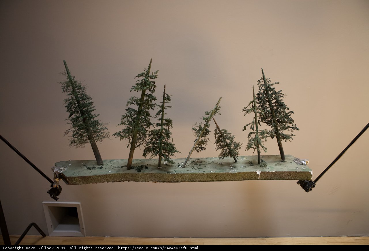 Miniature Forest
