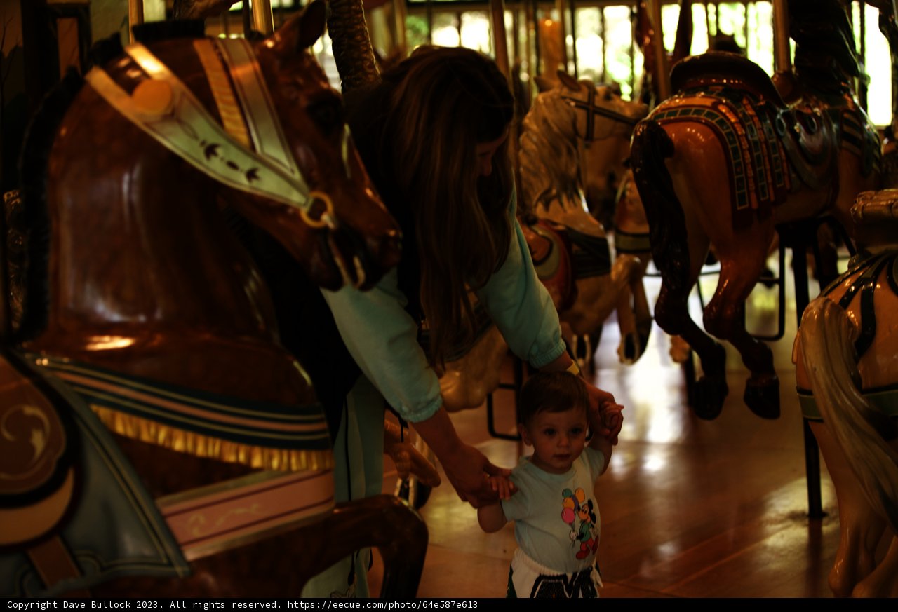 Carousel Wonders at SF Zoo