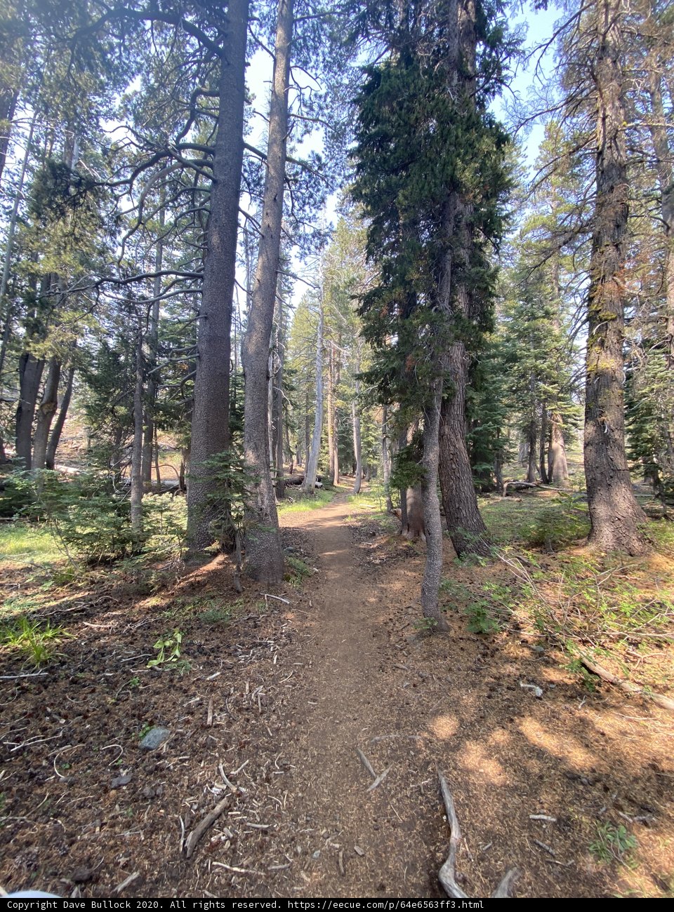 A Serene Trail Through the Desolation Wilderness