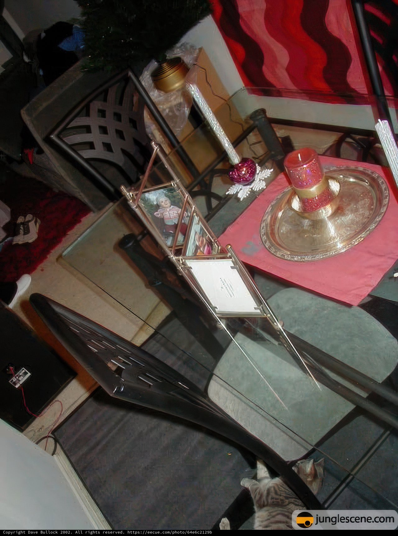 Illuminating the Dining Table