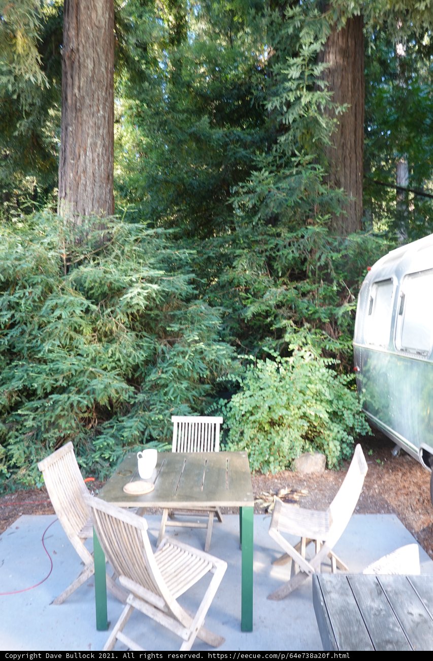 Outdoor Dining in Nature