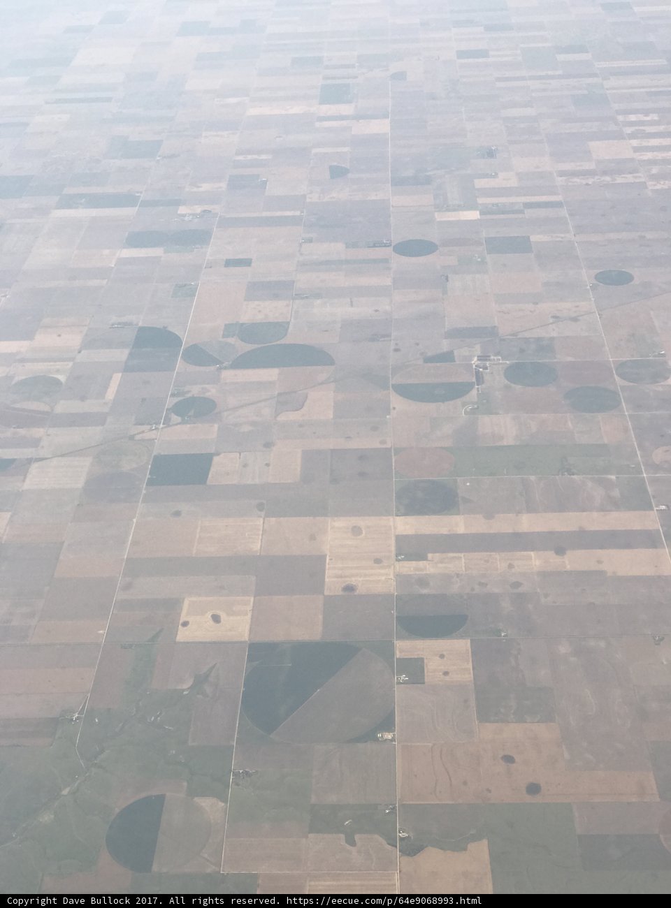 Fields of Plenty