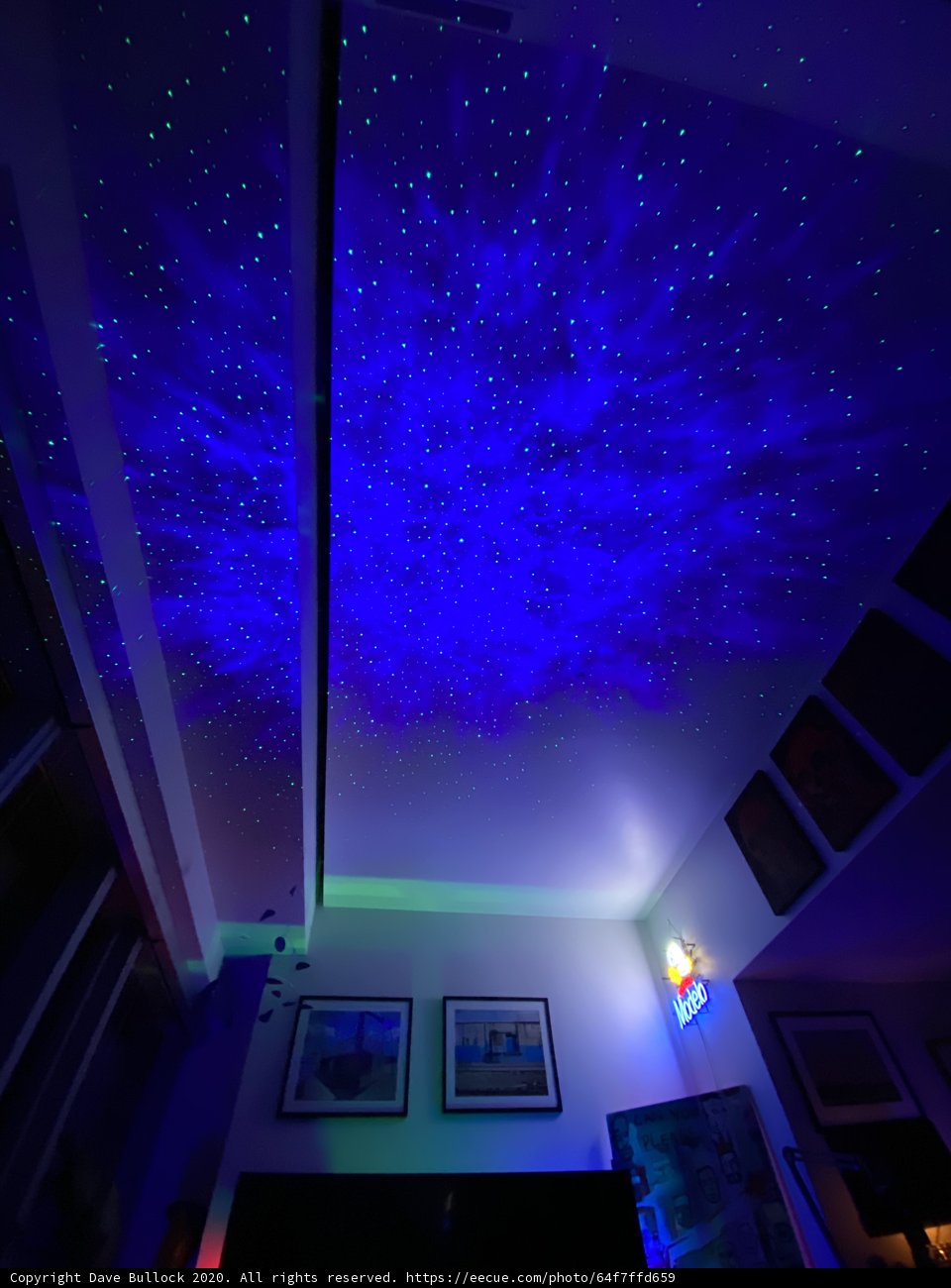 Starry Skies Illuminate This Indoor Oasis