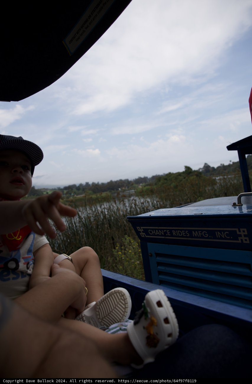 Wesley's Joyful Ride