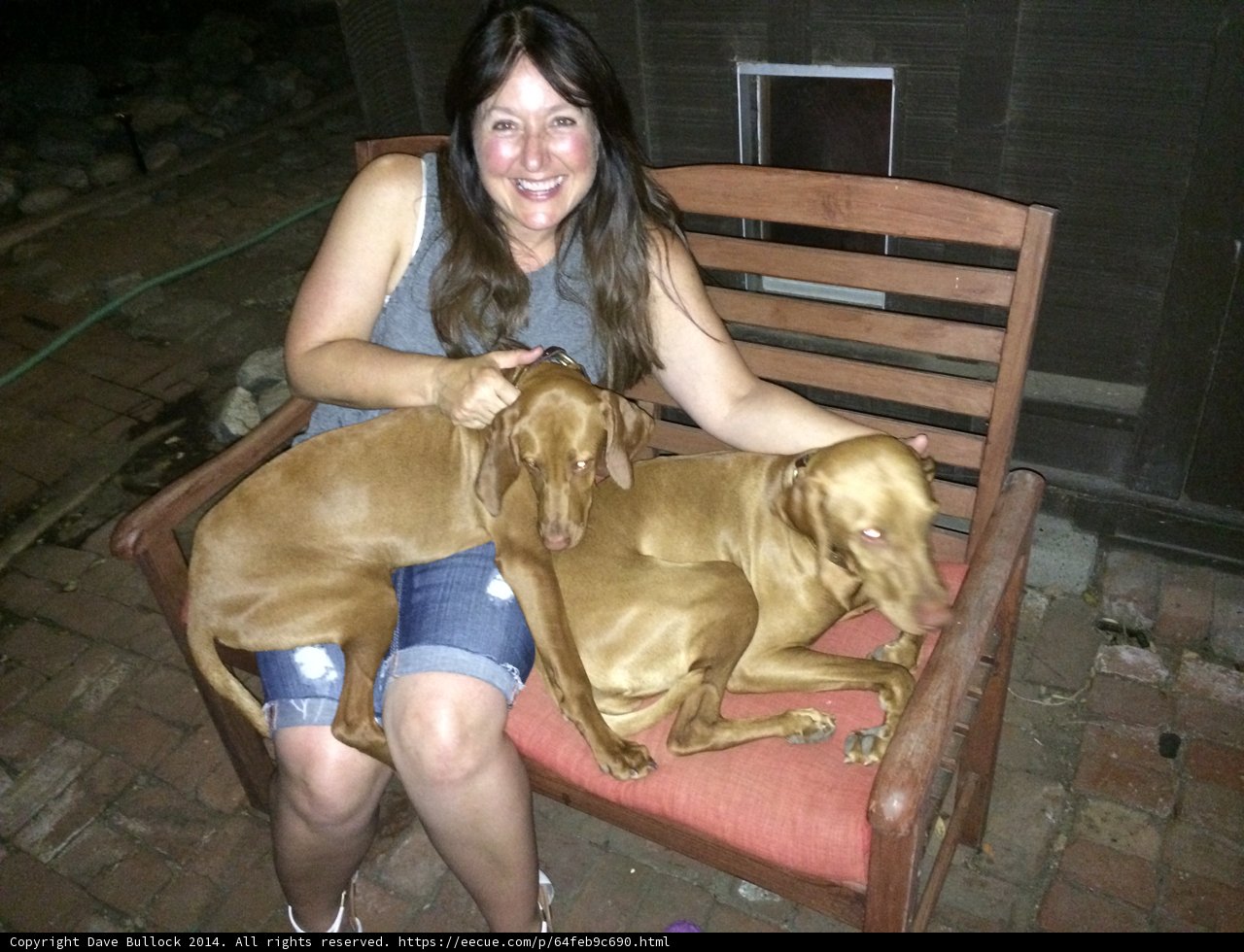 Companions on the Bench