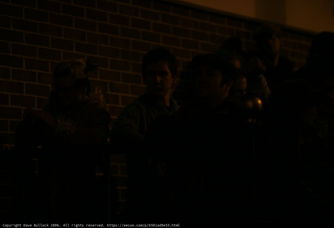 Audience in the Shadows