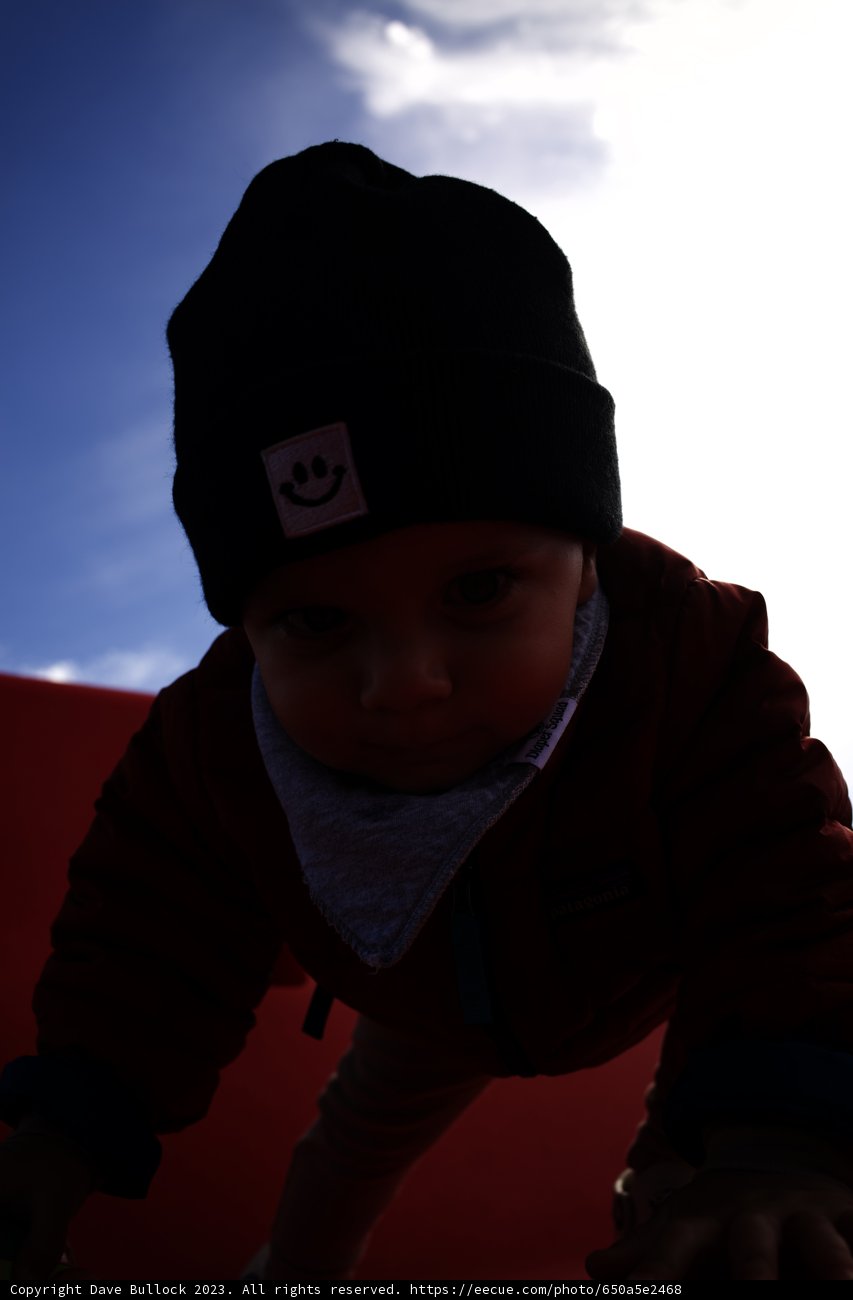 Adventures of a Tiny Explorer