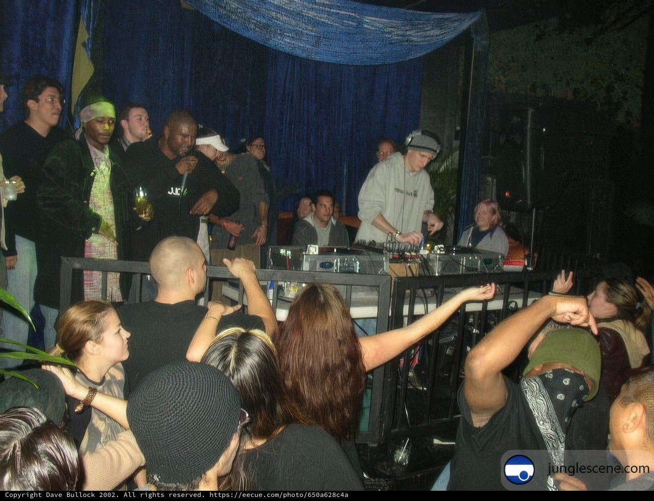 Party people pumping up the night