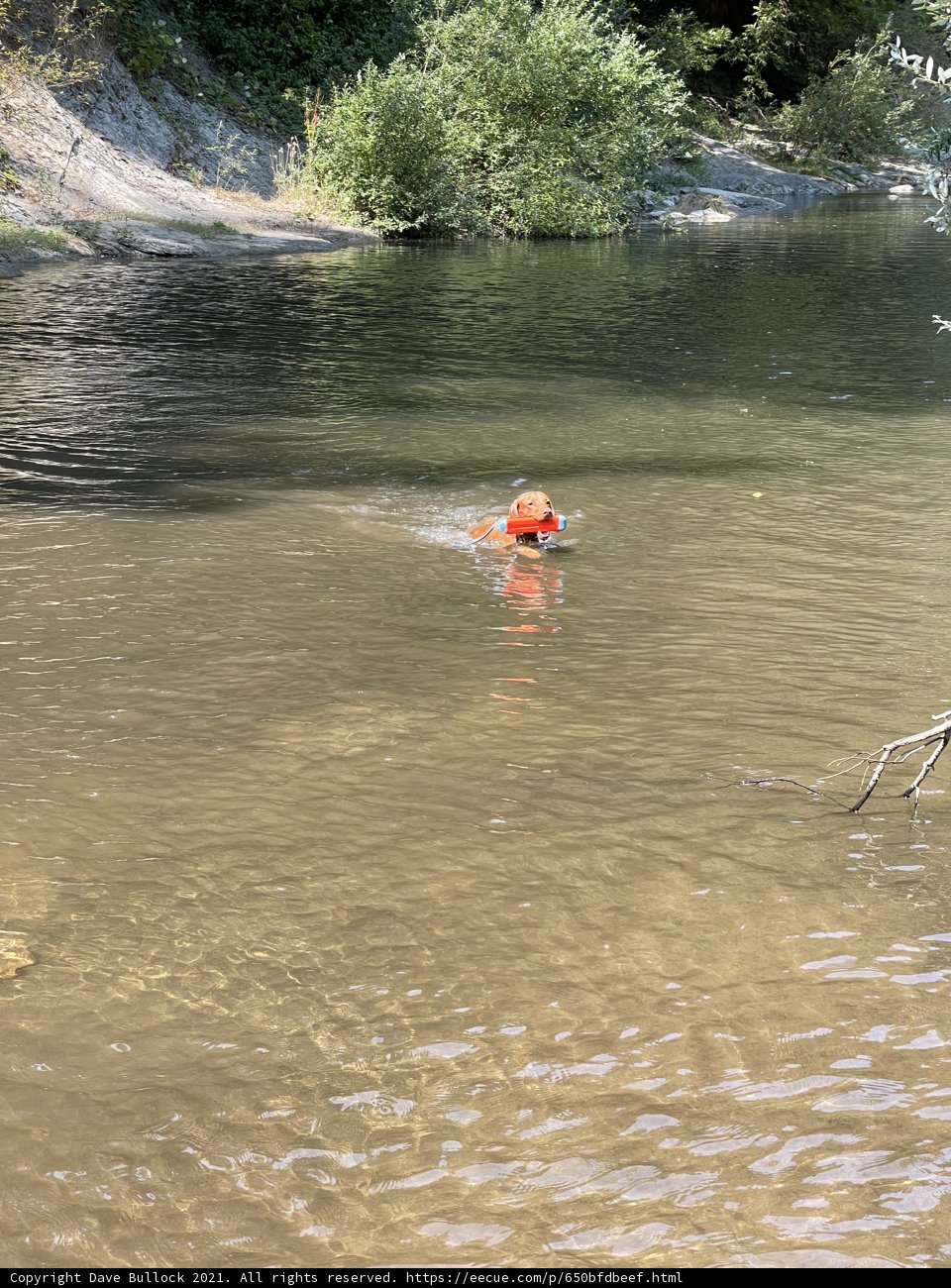 River Adventure