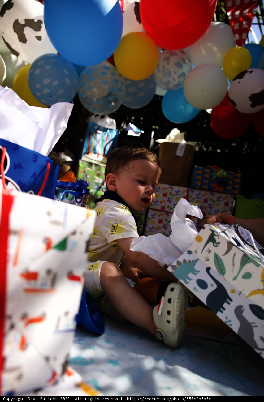 Celebrating Wesley's First Milestone