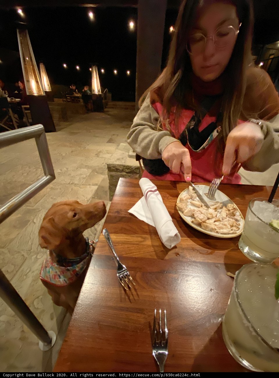 Dining with Friends