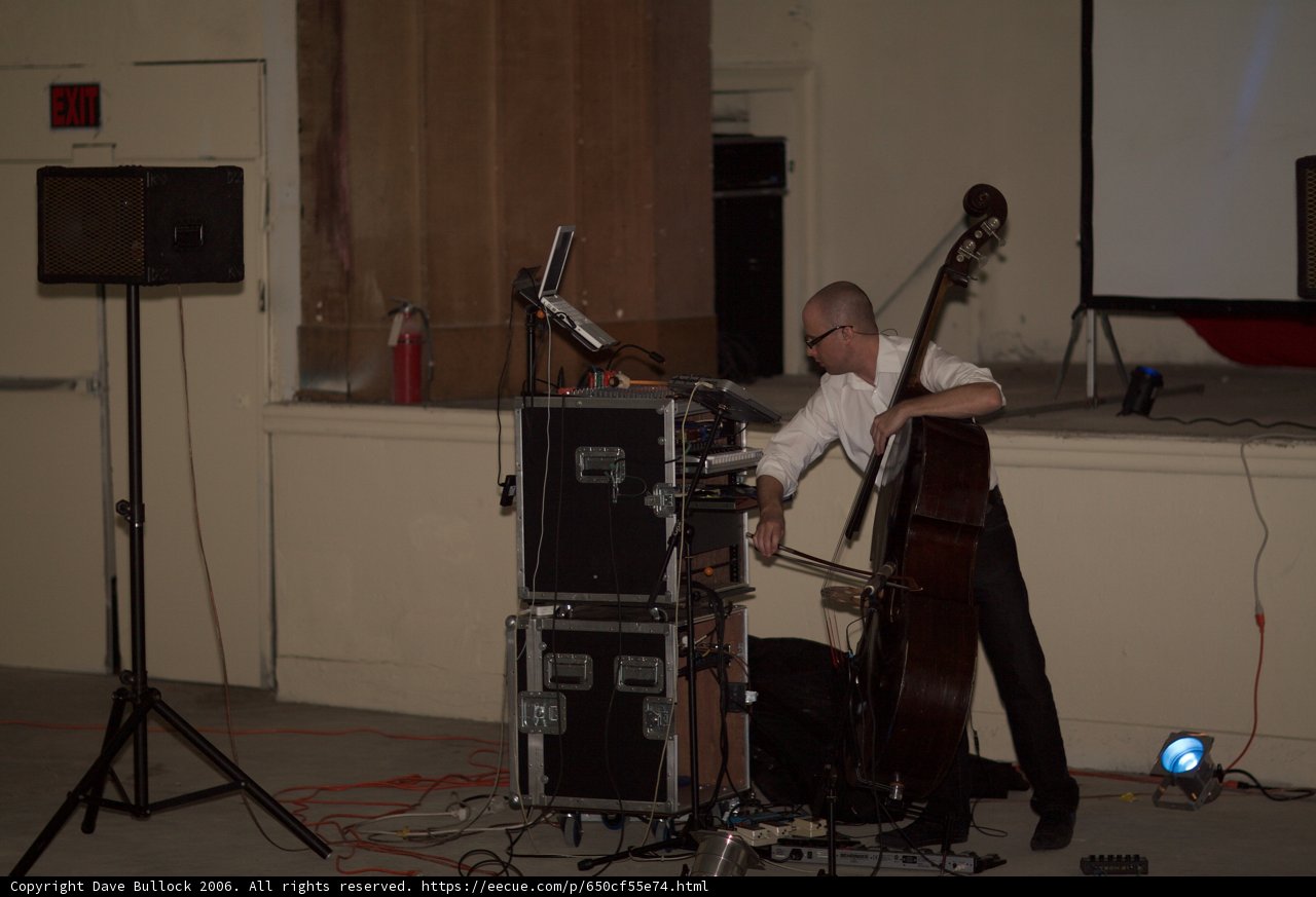 Man playing the double bass