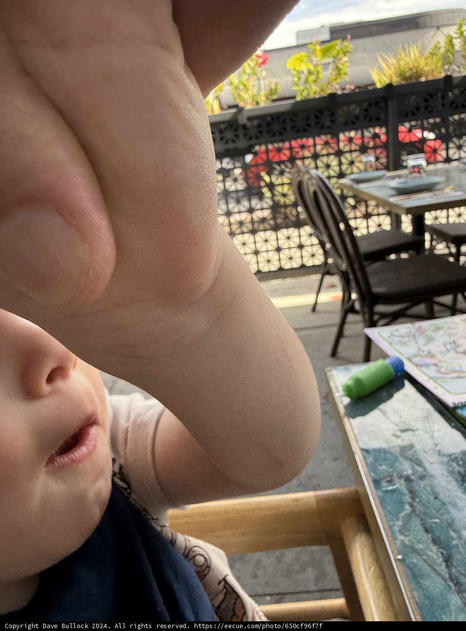 Dining Room Adventures with the Little Ones