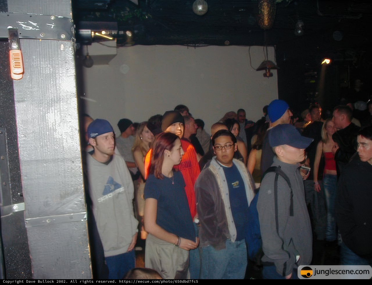 Nightclub Crowd
