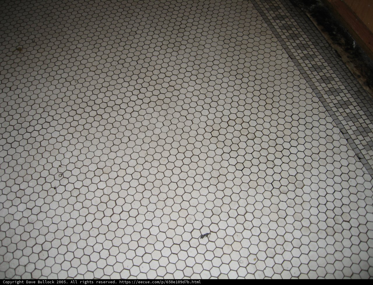 Hexagon Haven
