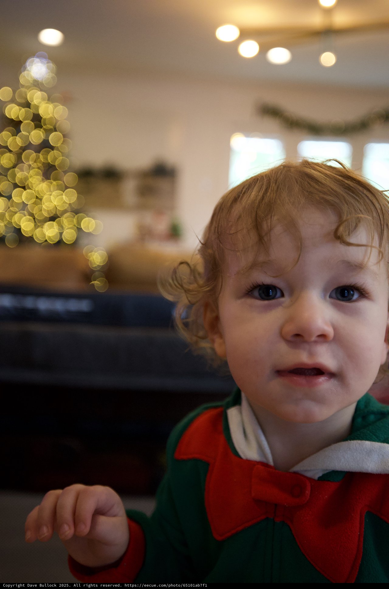 Toddler in Festive Elf Costume at Christmas