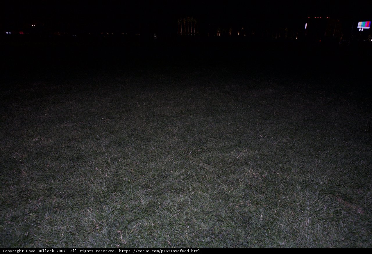 Midnight Meadow