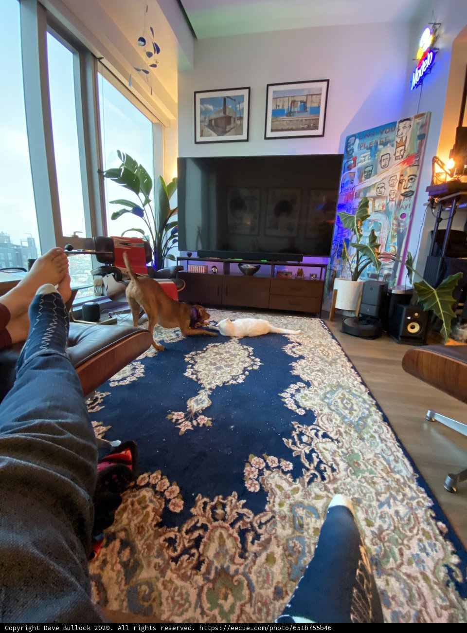 Cozy Living Room Setup
