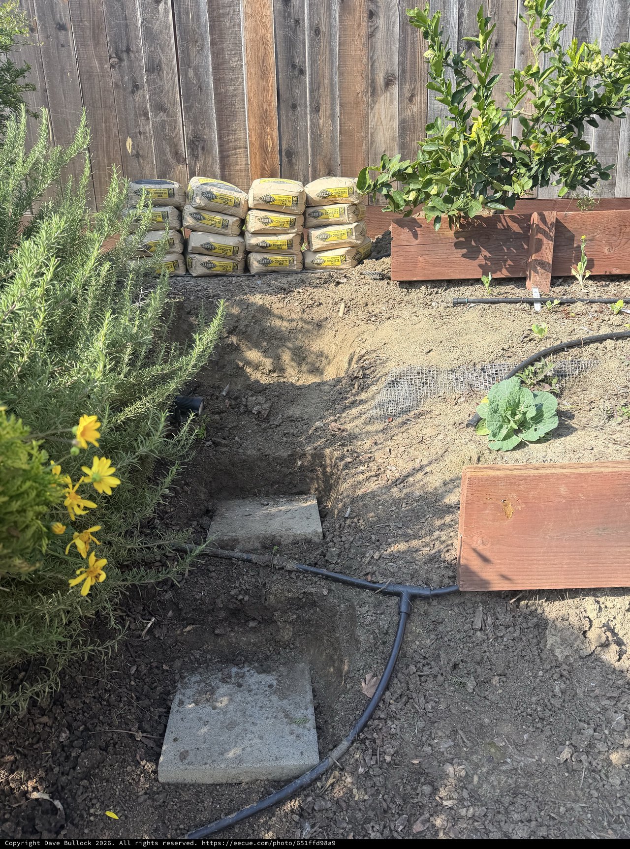 Backyard Garden Project with Soil Bags and Planter Beds