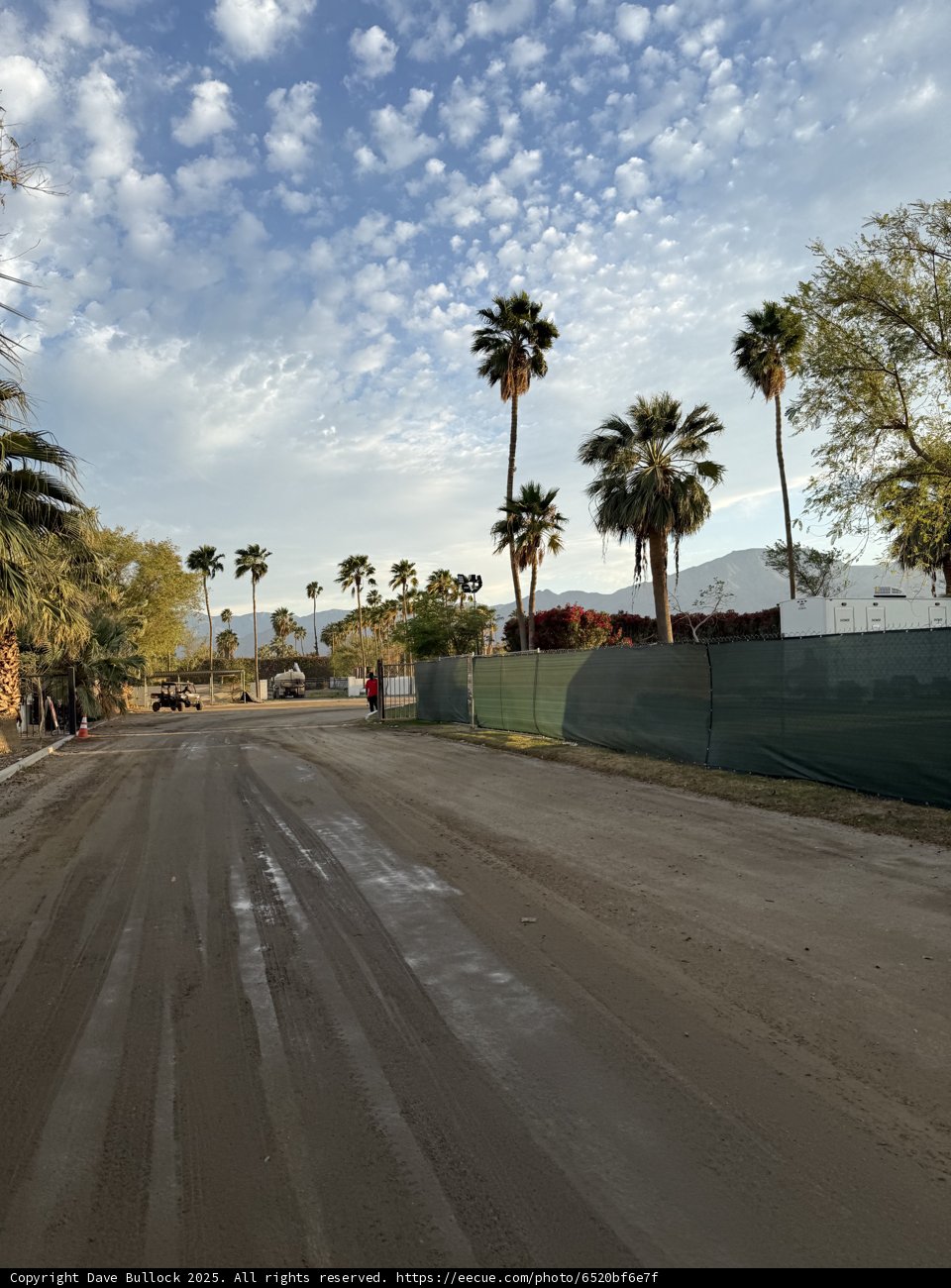 Palm-Lined Pathway at Dusk