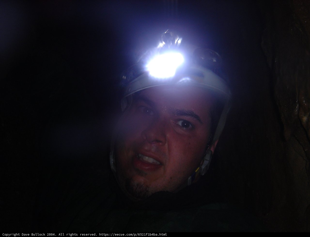 Illuminating the Way