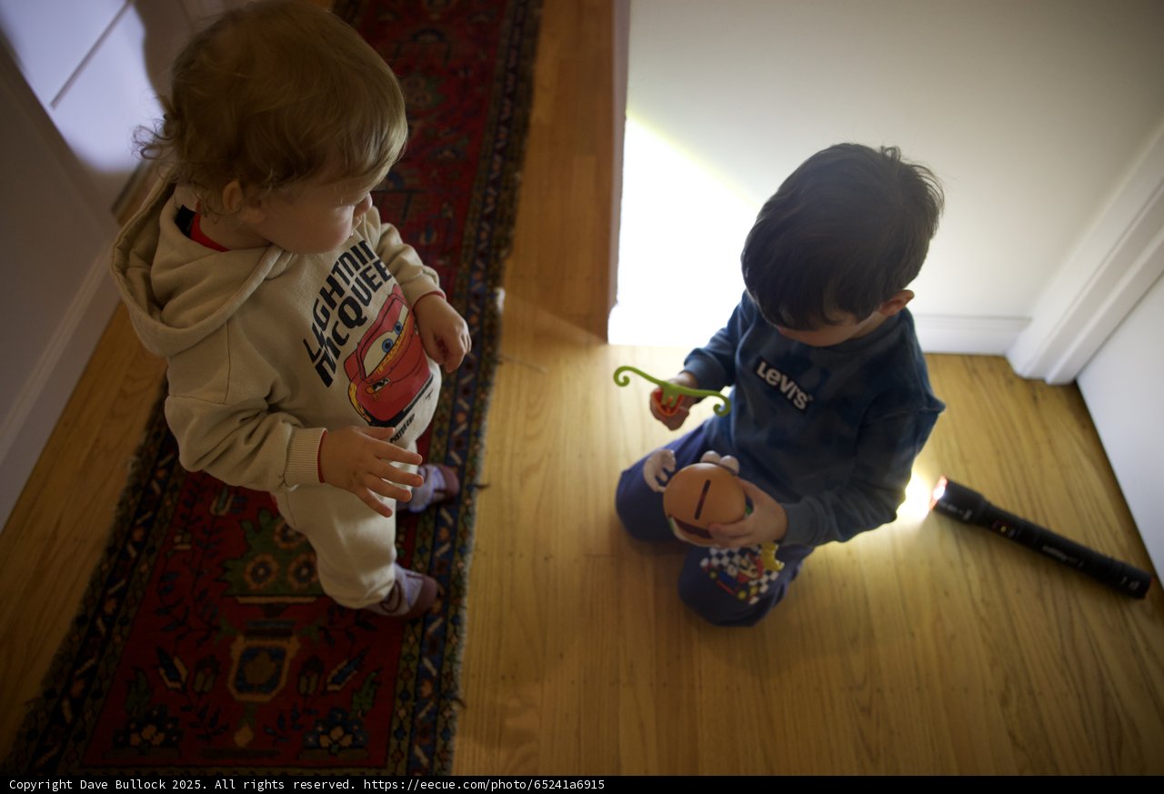 Playful Curiosity on a Cozy Afternoon