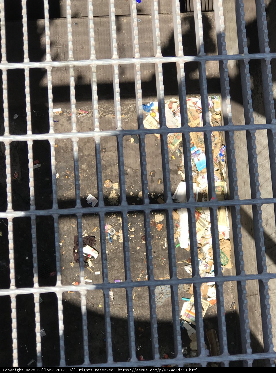 Trashy Grate