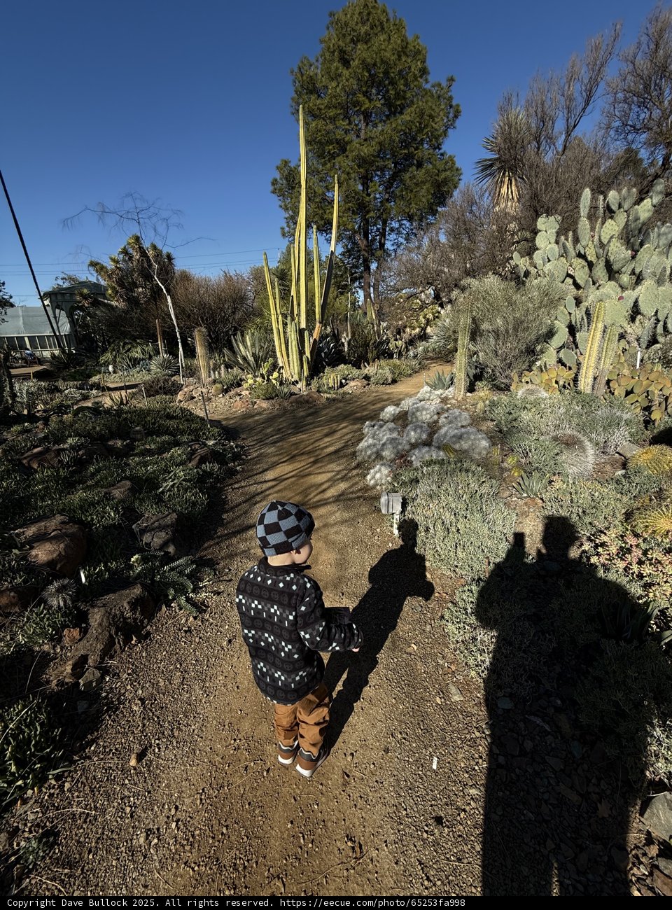 Little Explorer on a Desert Path