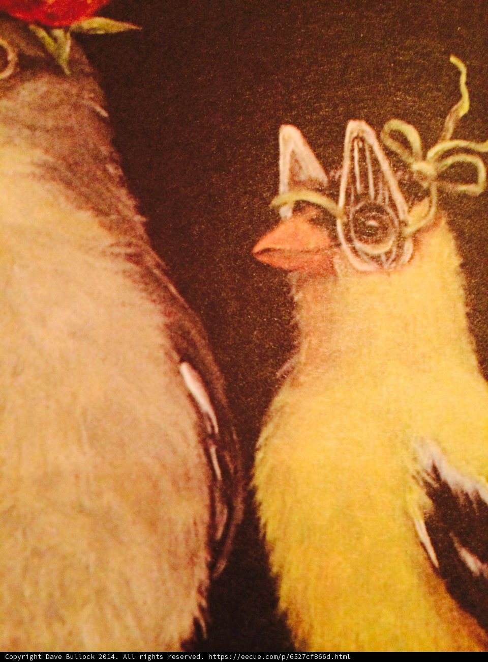 The Wise Birds in Glasses