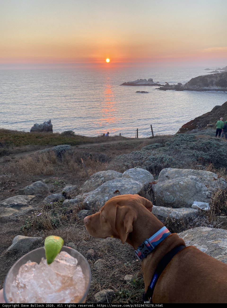 Sunset Sipper