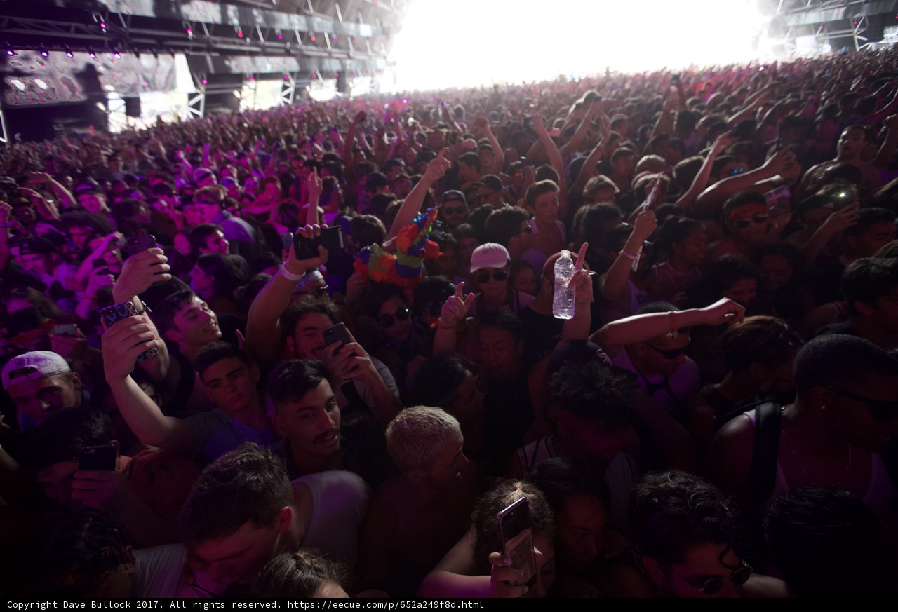 The Urban Crowd at a Concert