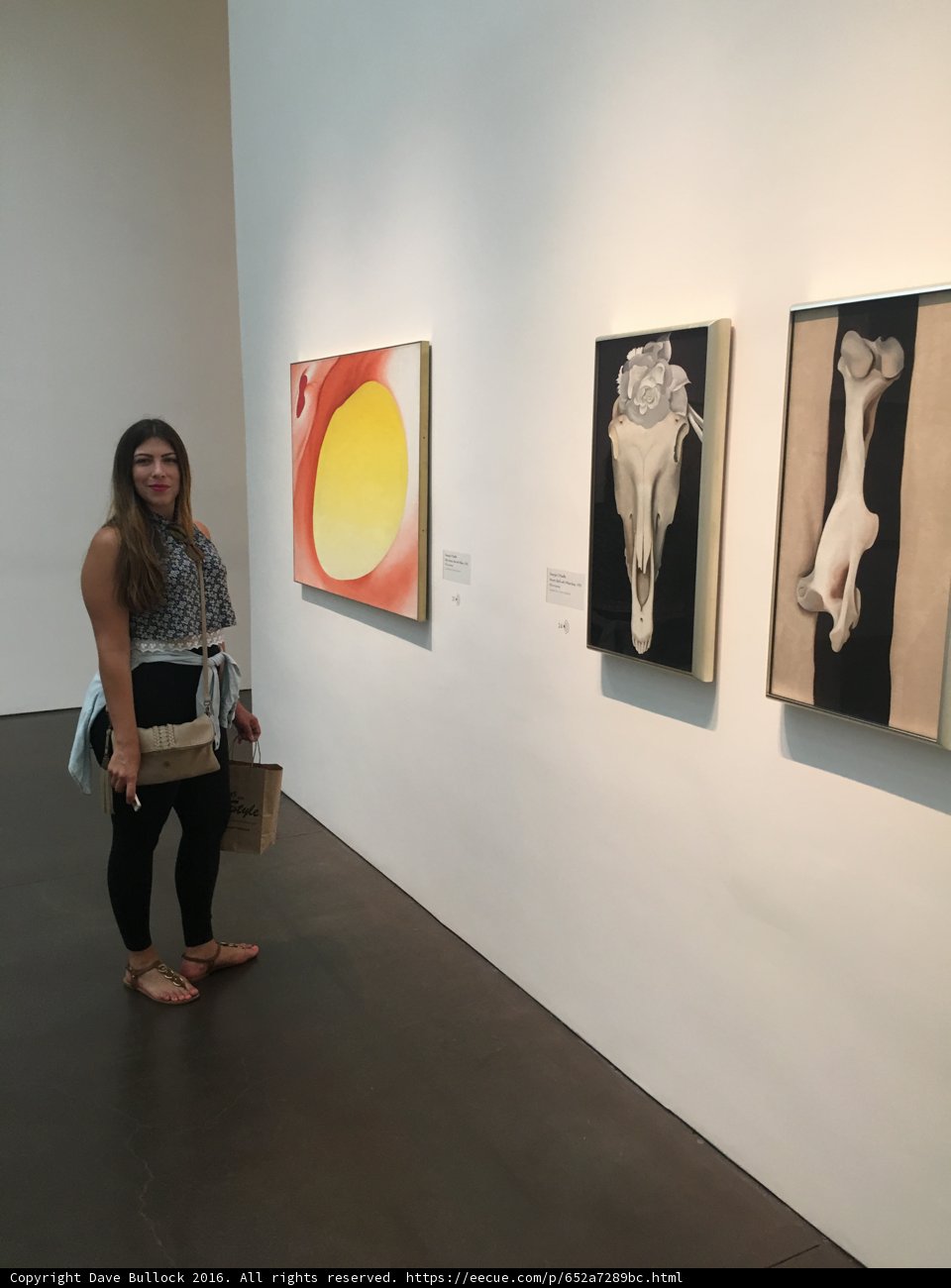 Art Appreciation at the Georgia O'Keeffe Museum