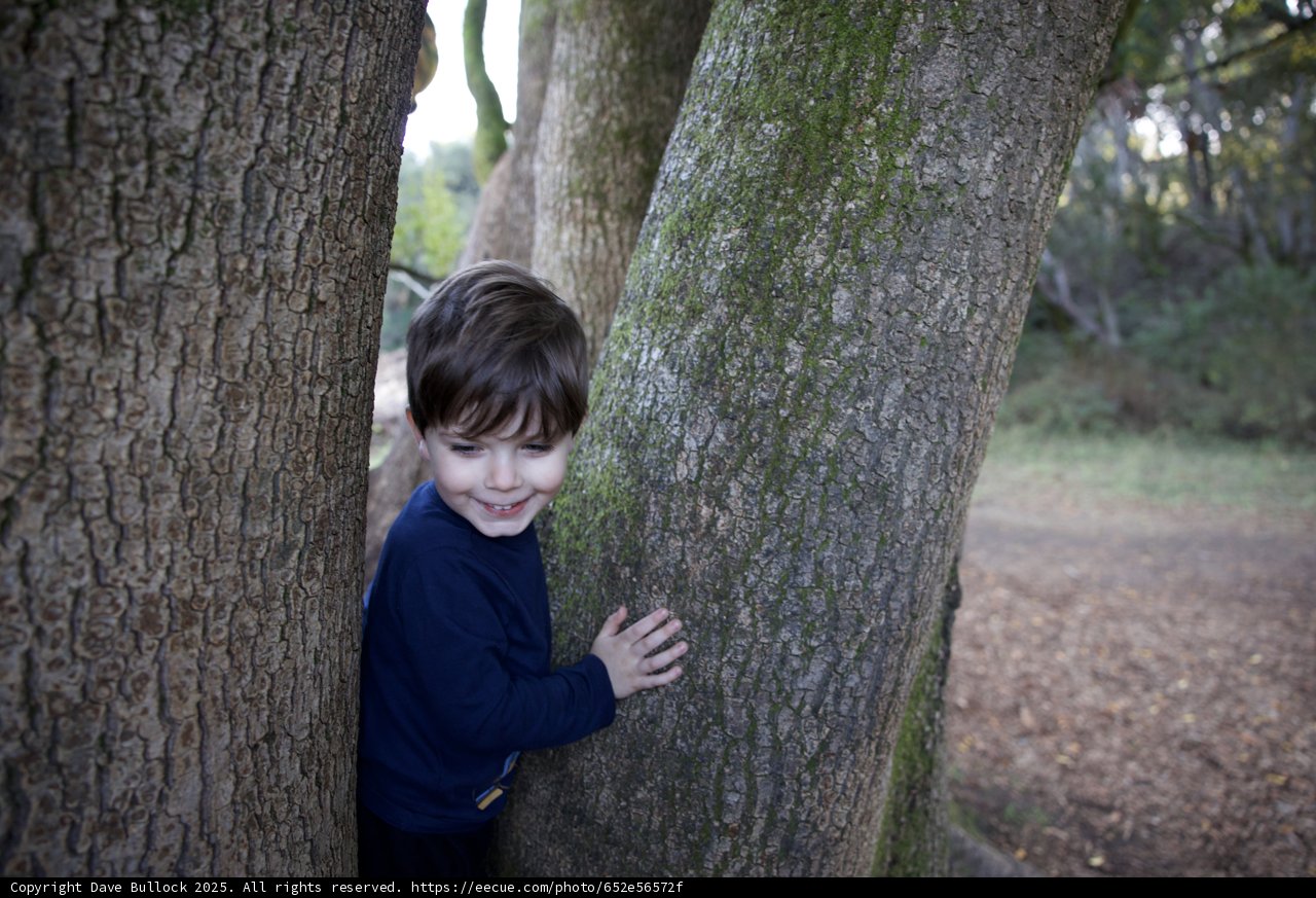 Woodland Adventures