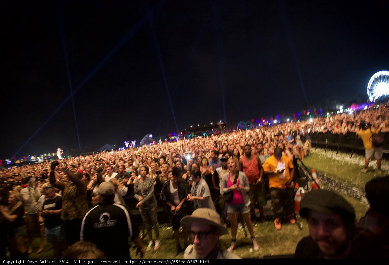 Electrifying Music Festival Vibes