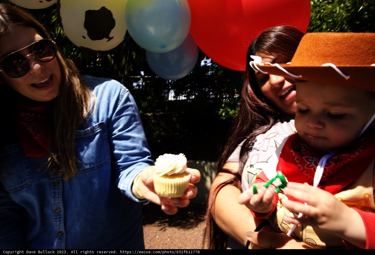 Sweet Celebrations: Wesely's First Birthday