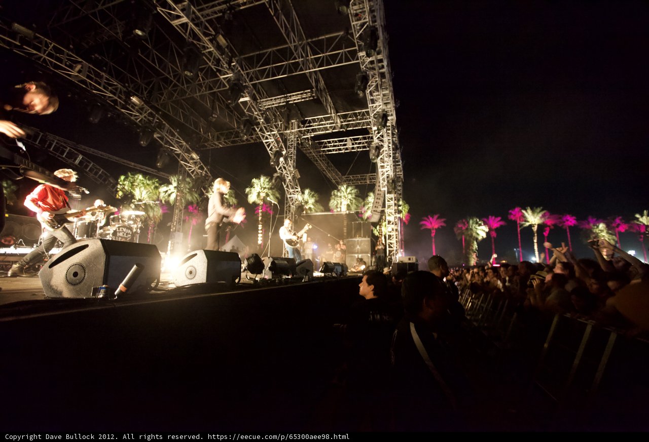 Palm Trees Rock Out