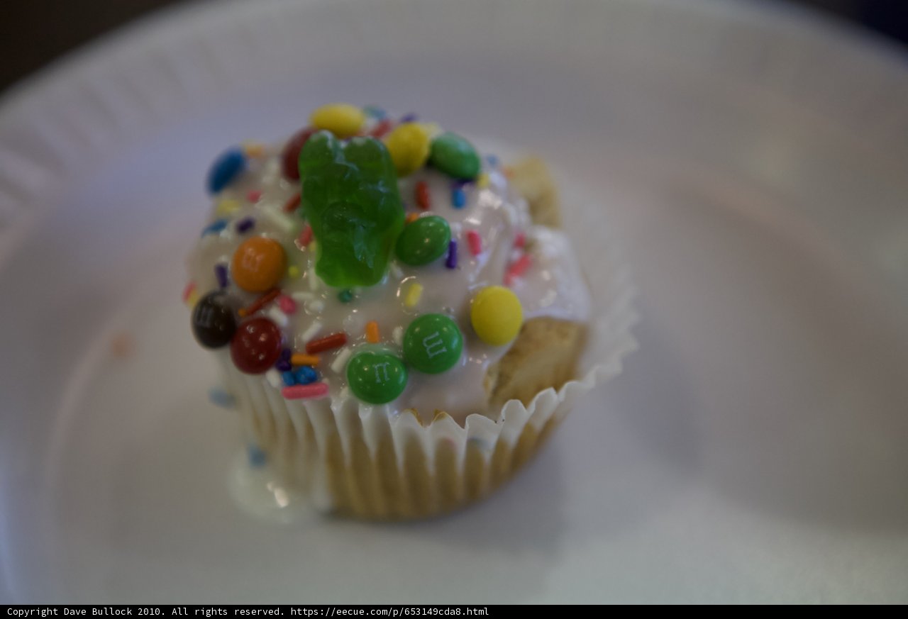 Sweet Treats on a Paper Plate