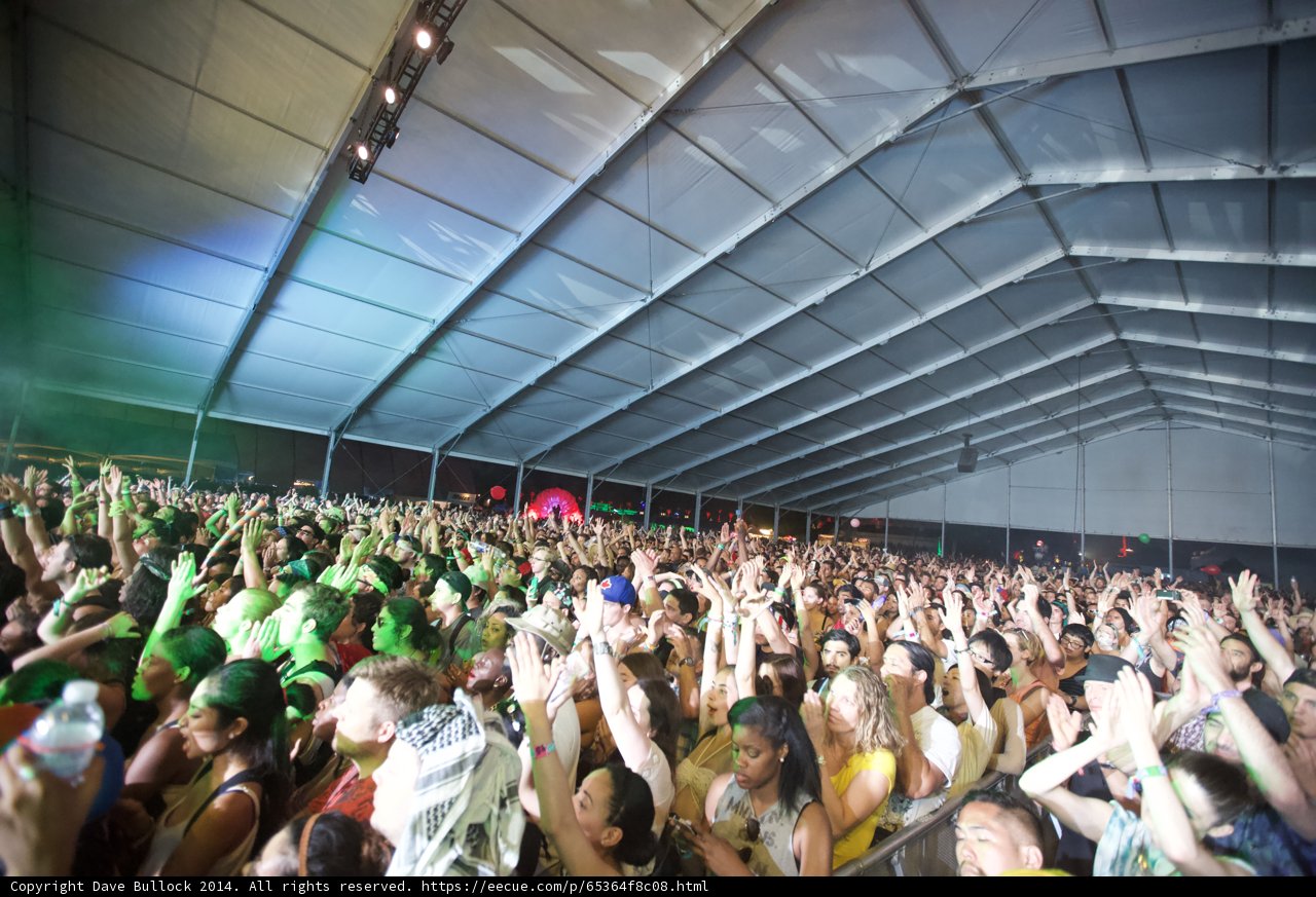 Music Fest Madness