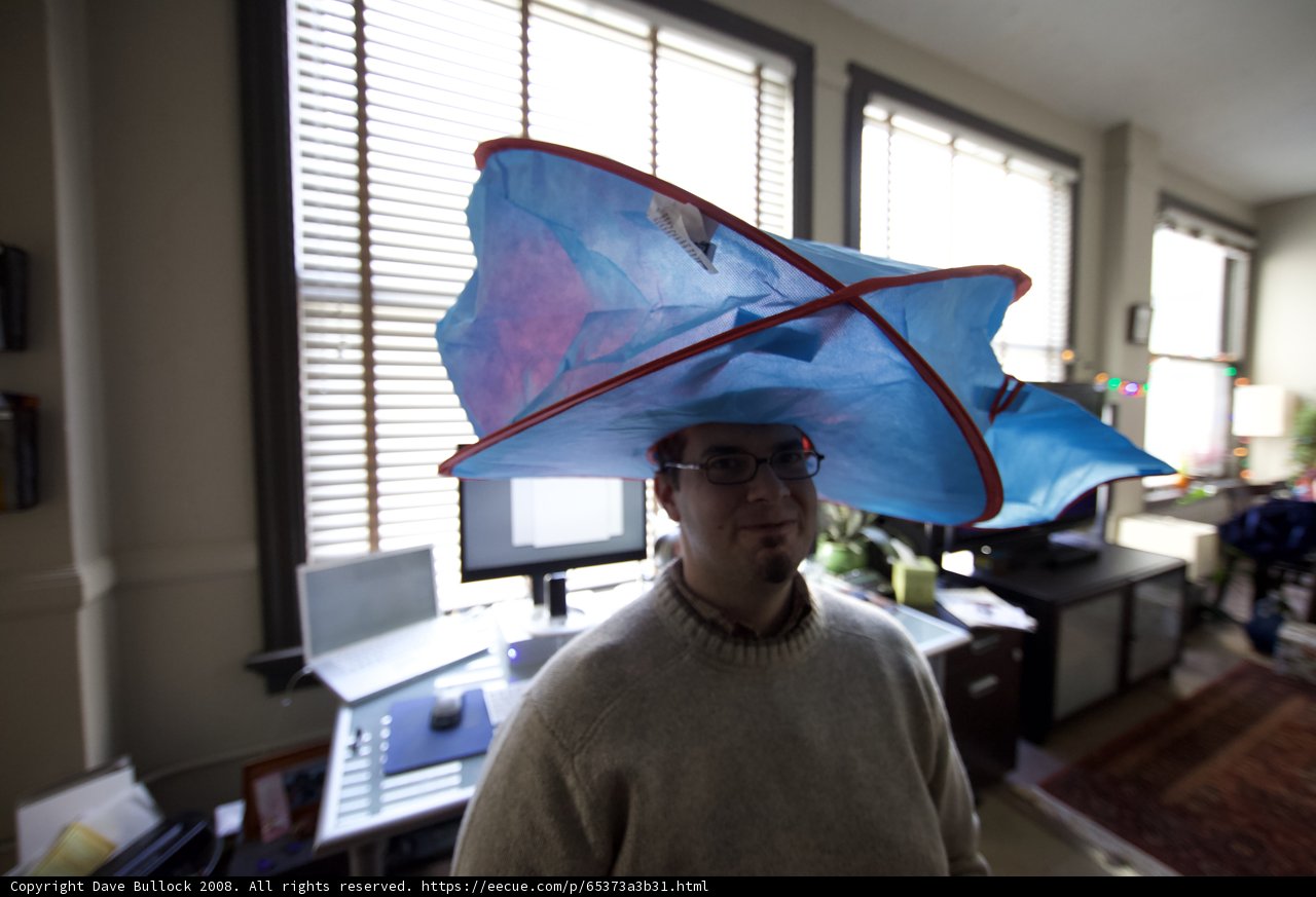 The Kite-Headed Man