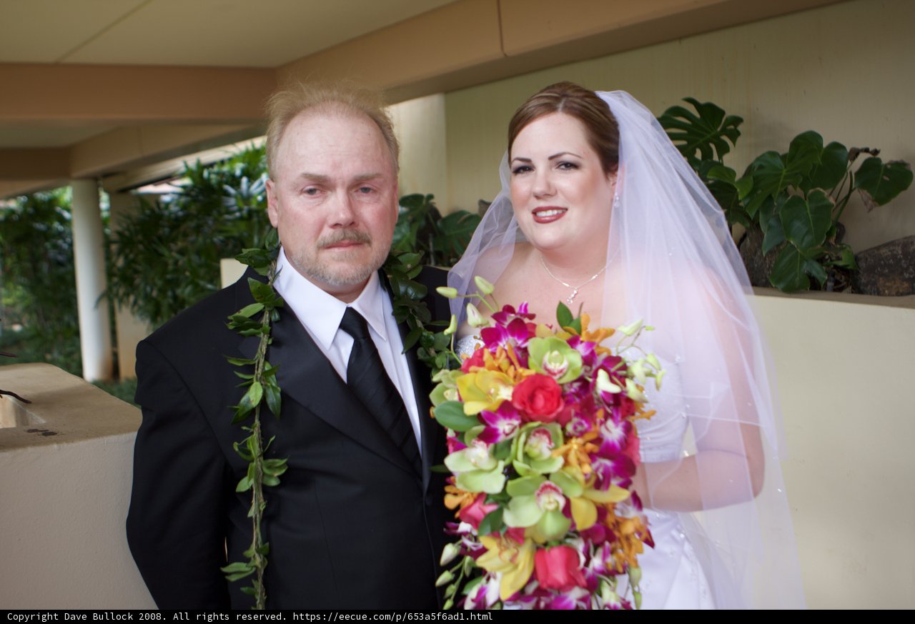 Wedding Bliss in Hawaii