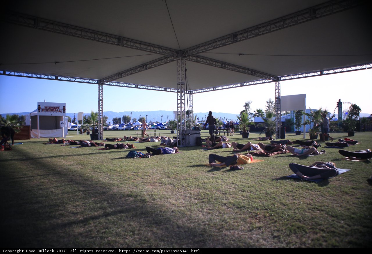 Relaxing on the Grass at Coachella