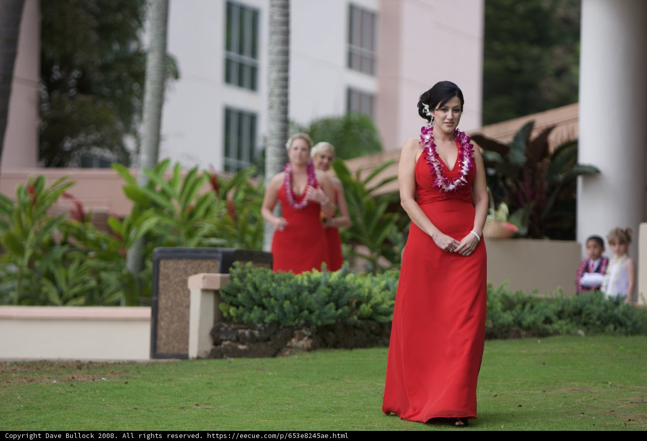A Stunning Bride and her Bridal Party