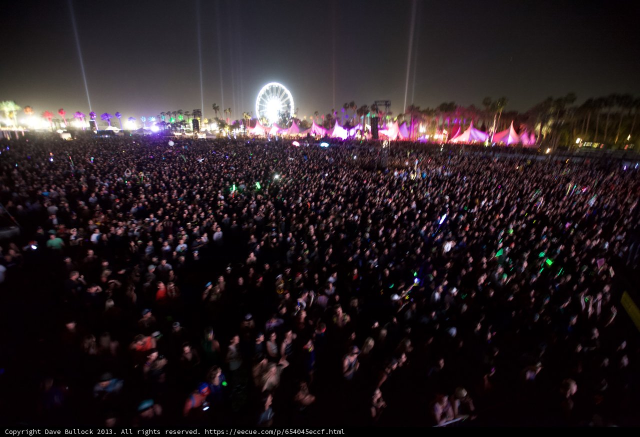 Euphoria under the Night Sky