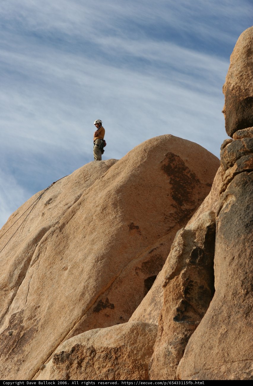 Standing Tall on the Desert Rock