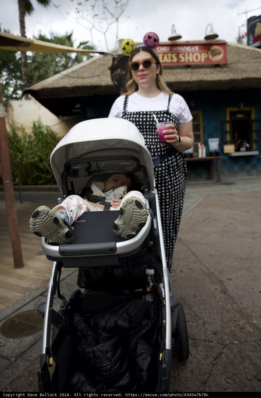 A Magical day at the Animal Kingdom with Lori S in 2024