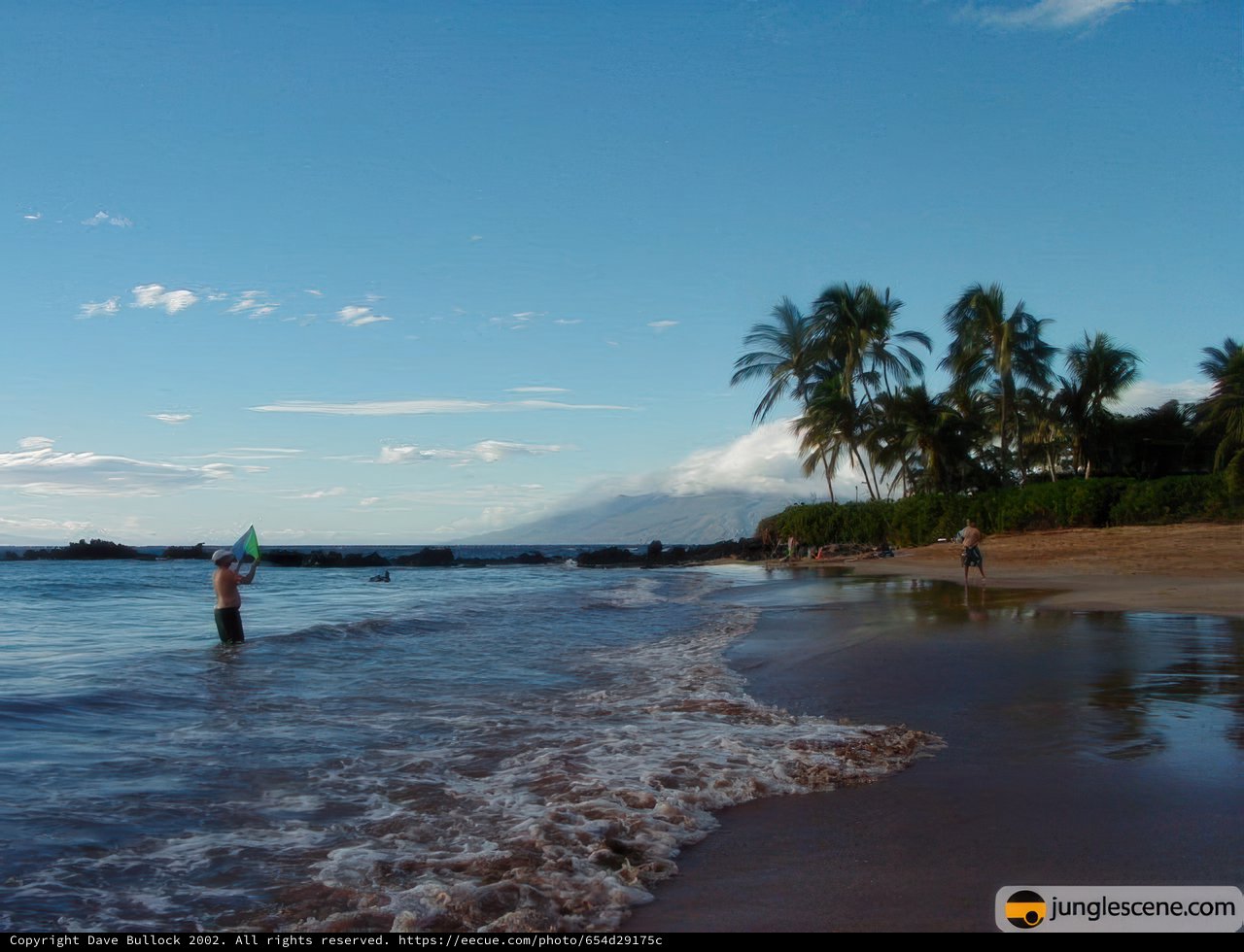 Surfer in Paradise
