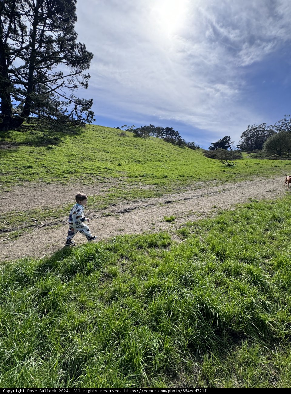 Solitude in the Greens: A Stroll in McLaren Park
